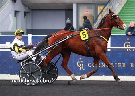ledondupmu|cheval coup sûr du jour.